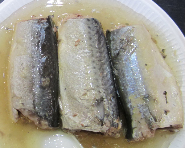 Canned Mackerel in oil