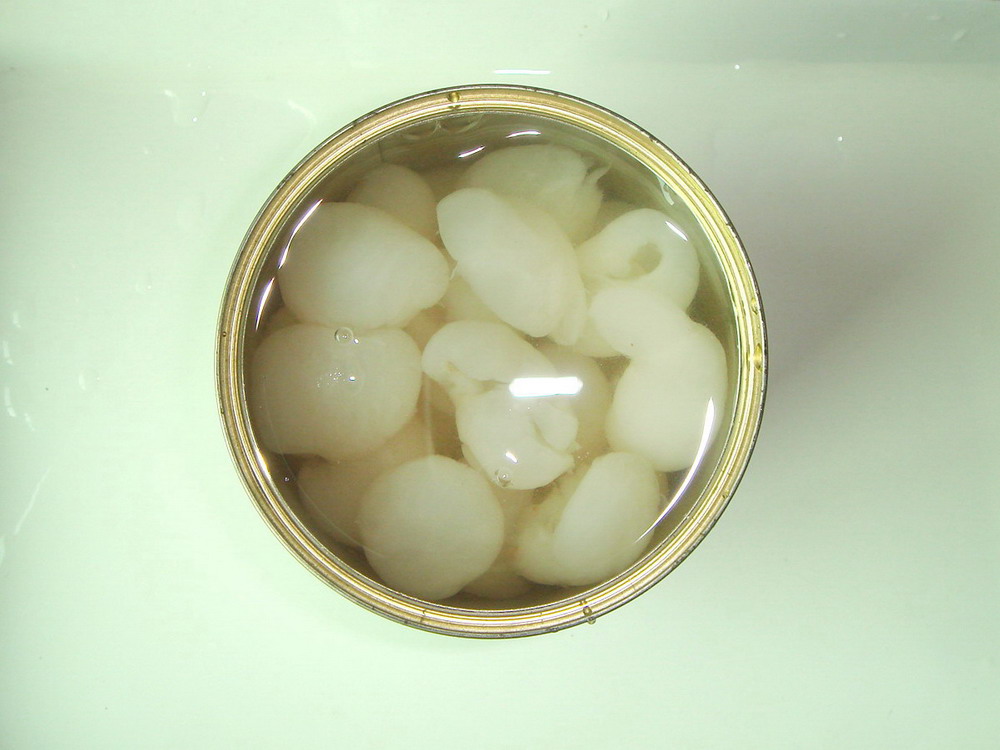 Canned Longan in broken
