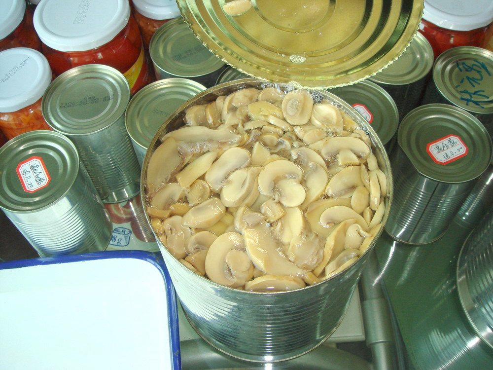 Canned Mushroom PNS 2840G