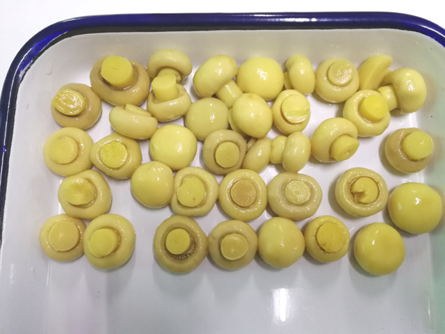 Canned Mushroom Whole 800g