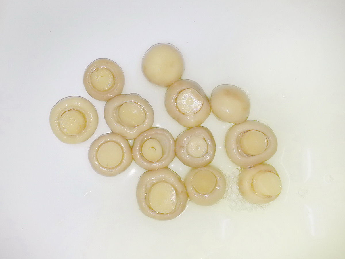 Canned Mushroom Whole 184g