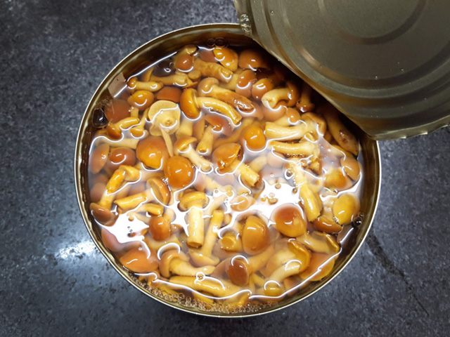 Canned Nameko Mushroom in Tin packing