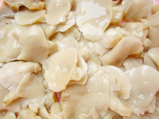 Canned Fresh Lingzhi Mushroom