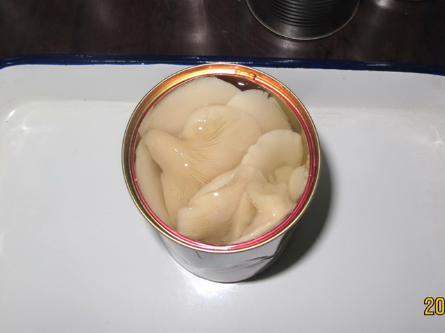Canned Lingzhi Mushroom in EOL