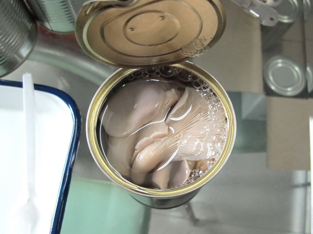 Canned Phoenix Mushroom Whole