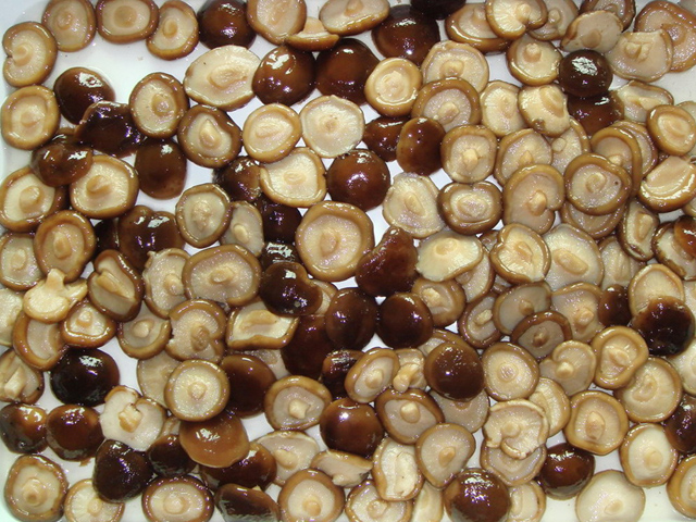 Canned Shiitake Mushroom Whole 2840g