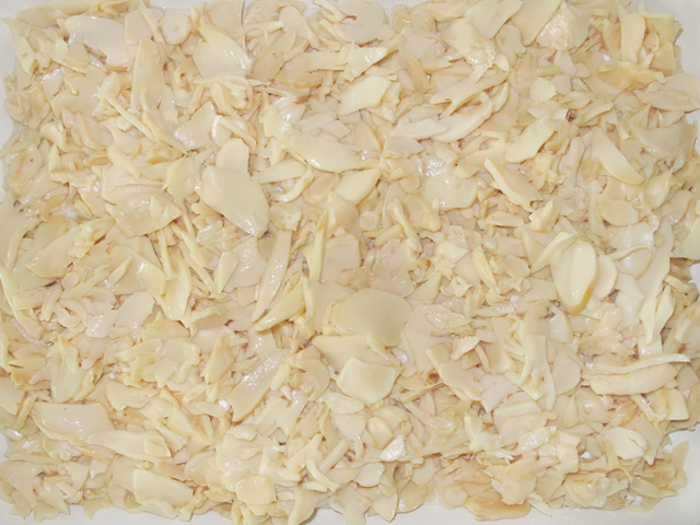 Canned Oyster Mushroom PNS 2840g