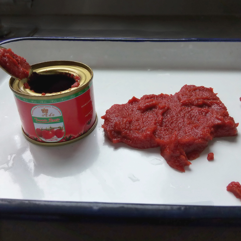 Canned Tomato Pated 70g in Eol